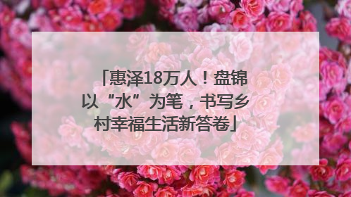 惠泽18万人！盘锦以“水”为笔，书写乡村幸福生活新答卷