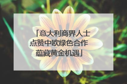 意大利商界人士点赞中欧绿色合作蕴藏黄金机遇