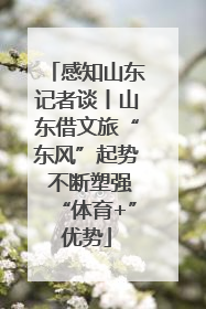 感知山东记者谈丨山东借文旅“东风”起势 不断塑强“体育+”优势