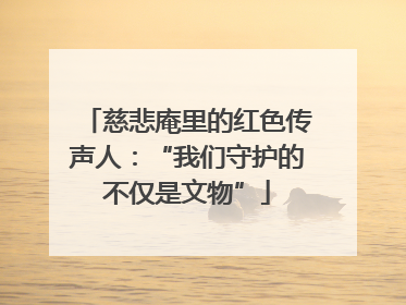 慈悲庵里的红色传声人：“我们守护的不仅是文物”