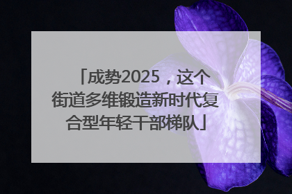 成势2025，这个街道多维锻造新时代复合型年轻干部梯队