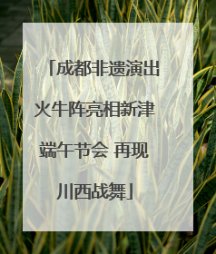 成都非遗演出火牛阵亮相新津端午节会 再现川西战舞