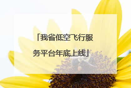 我省低空飞行服务平台年底上线