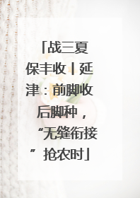 战三夏 保丰收丨延津：前脚收 后脚种，“无缝衔接”抢农时