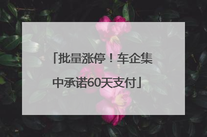 批量涨停！车企集中承诺60天支付