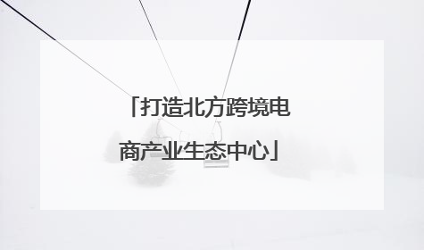 打造北方跨境电商产业生态中心