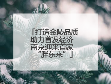 打造金陵品质 助力首发经济 南京迎来首家“胖东来”