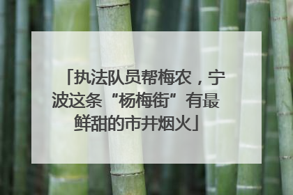 执法队员帮梅农，宁波这条“杨梅街”有最鲜甜的市井烟火