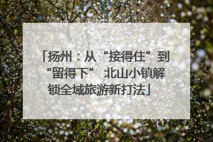 扬州：从“接得住”到“留得下” 北山小镇解锁全域旅游新打法