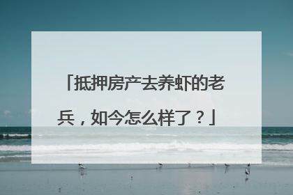 抵押房产去养虾的老兵，如今怎么样了？