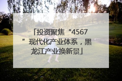 投资聚焦“4567”现代化产业体系，黑龙江产业换新景