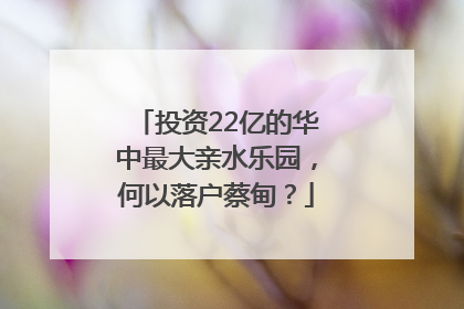 投资22亿的华中最大亲水乐园，何以落户蔡甸？
