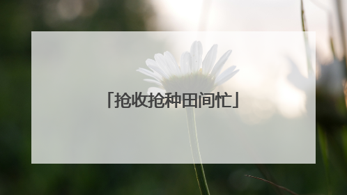 抢收抢种田间忙