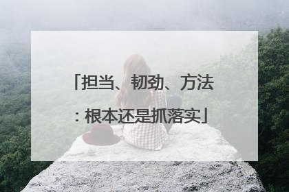 担当、韧劲、方法：根本还是抓落实