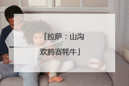 拉萨：山沟欢腾赛牦牛