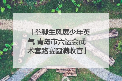 拳脚生风展少年英气 青岛市六运会武术套路赛圆满收官