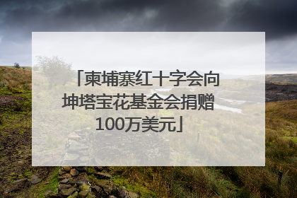 柬埔寨红十字会向坤塔宝花基金会捐赠100万美元