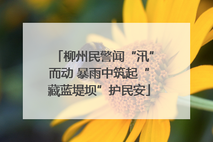 柳州民警闻“汛”而动 暴雨中筑起“藏蓝堤坝”护民安
