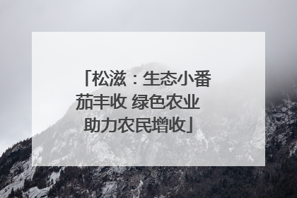 松滋：生态小番茄丰收 绿色农业助力农民增收