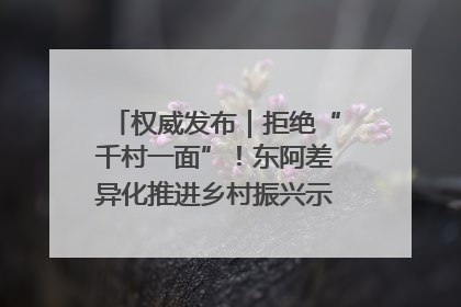 权威发布｜拒绝“千村一面”！东阿差异化推进乡村振兴示范片区建设