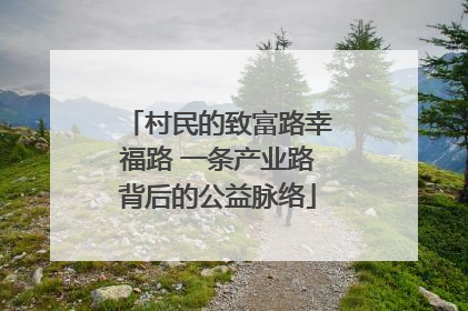 村民的致富路幸福路 一条产业路背后的公益脉络