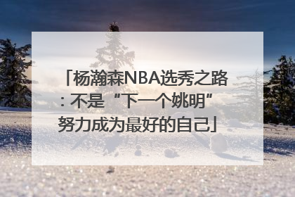 杨瀚森NBA选秀之路：不是“下一个姚明” 努力成为最好的自己