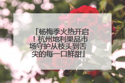 杨梅季火热开启！杭州地利果品市场守护从枝头到舌尖的每一口鲜甜