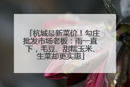 杭城最新菜价！勾庄批发市场老板：雨一直下，毛豆、甜糯玉米、生菜却更实惠