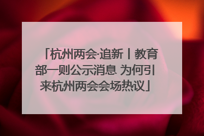 杭州两会·追新丨教育部一则公示消息 为何引来杭州两会会场热议