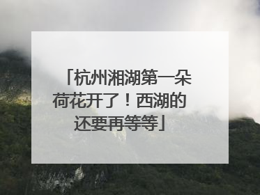 杭州湘湖第一朵荷花开了！西湖的还要再等等