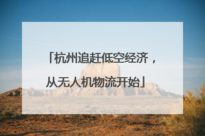 杭州追赶低空经济，从无人机物流开始