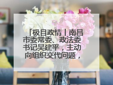 极目政情丨南昌市委常委、政法委书记吴建平，主动向组织交代问题，半个月前还在出席会议