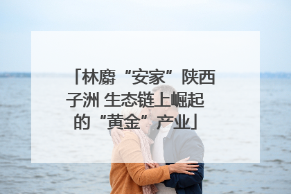 林麝“安家”陕西子洲 生态链上崛起的“黄金”产业