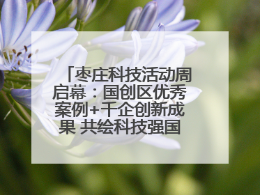 枣庄科技活动周启幕：国创区优秀案例+千企创新成果 共绘科技强国枣庄画卷