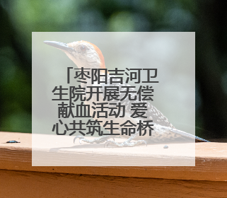 枣阳吉河卫生院开展无偿献血活动 爱心共筑生命桥梁