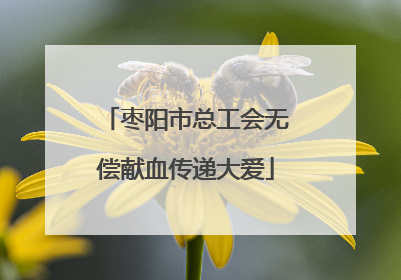 枣阳市总工会无偿献血传递大爱
