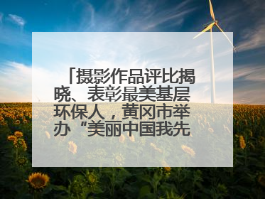摄影作品评比揭晓、表彰最美基层环保人，黄冈市举办“美丽中国我先行”六五环境日主题宣传活动