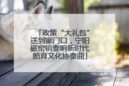 政策“大礼包”送到家门口，宁阳磁窑镇奏响新时代婚育文化协奏曲