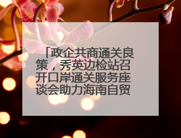 政企共商通关良策，秀英边检站召开口岸通关服务座谈会助力海南自贸港建设