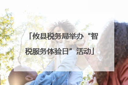 攸县税务局举办“智税服务体验日”活动