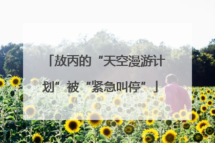 敖丙的“天空漫游计划”被“紧急叫停”