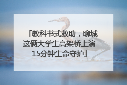 教科书式救助，聊城这俩大学生高架桥上演15分钟生命守护