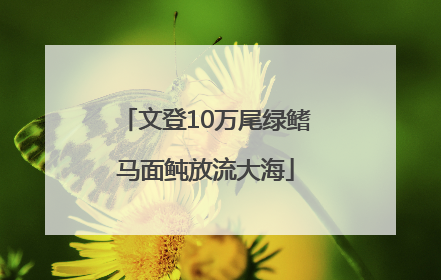 文登10万尾绿鳍马面鲀放流大海