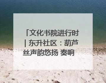 文化书院进行时｜东升社区：葫芦丝声韵悠扬 奏响文化和谐曲