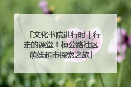 文化书院进行时｜行走的课堂！桓公路社区萌娃超市探索之旅