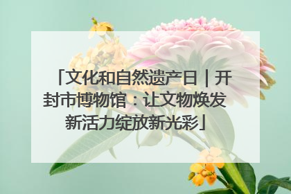 文化和自然遗产日｜开封市博物馆：让文物焕发新活力绽放新光彩