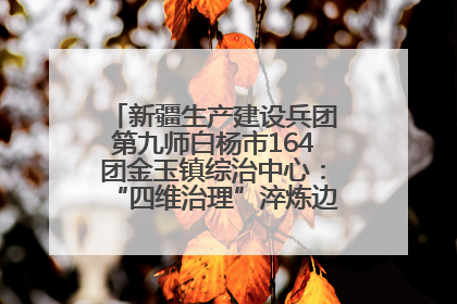 新疆生产建设兵团第九师白杨市164团金玉镇综治中心：“四维治理”淬炼边疆“枫桥样本”