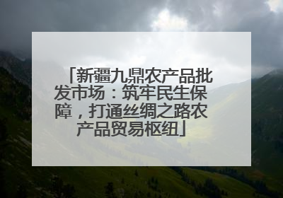 新疆九鼎农产品批发市场：筑牢民生保障，打通丝绸之路农产品贸易枢纽