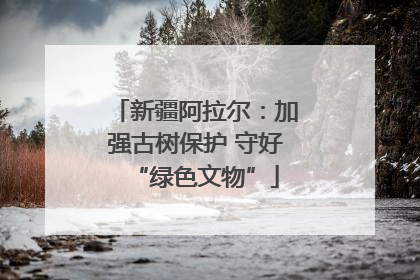新疆阿拉尔：加强古树保护 守好“绿色文物”
