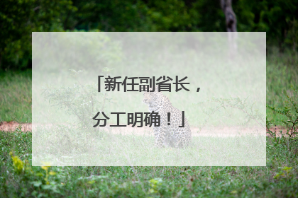 新任副省长，分工明确！